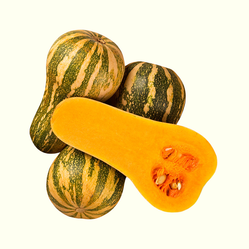 Bí Đỏ Hồ Lô